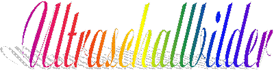 Ultraschallbilder