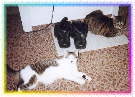 Faulenzen ist besser als nichts tun ;-))